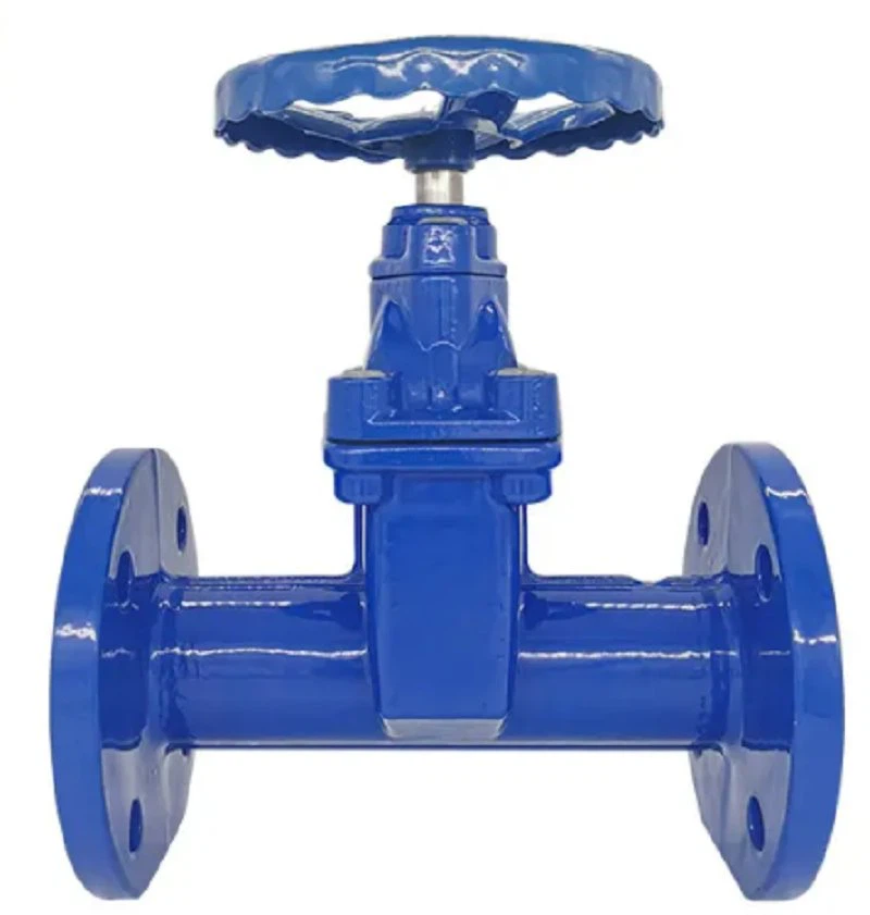 F5 Gate Valve