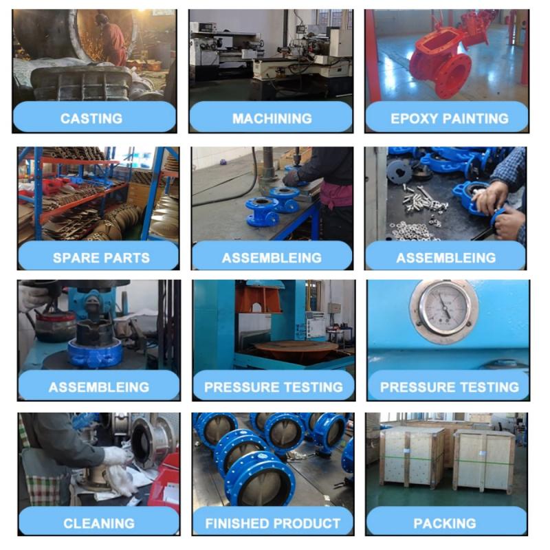 product-800-800